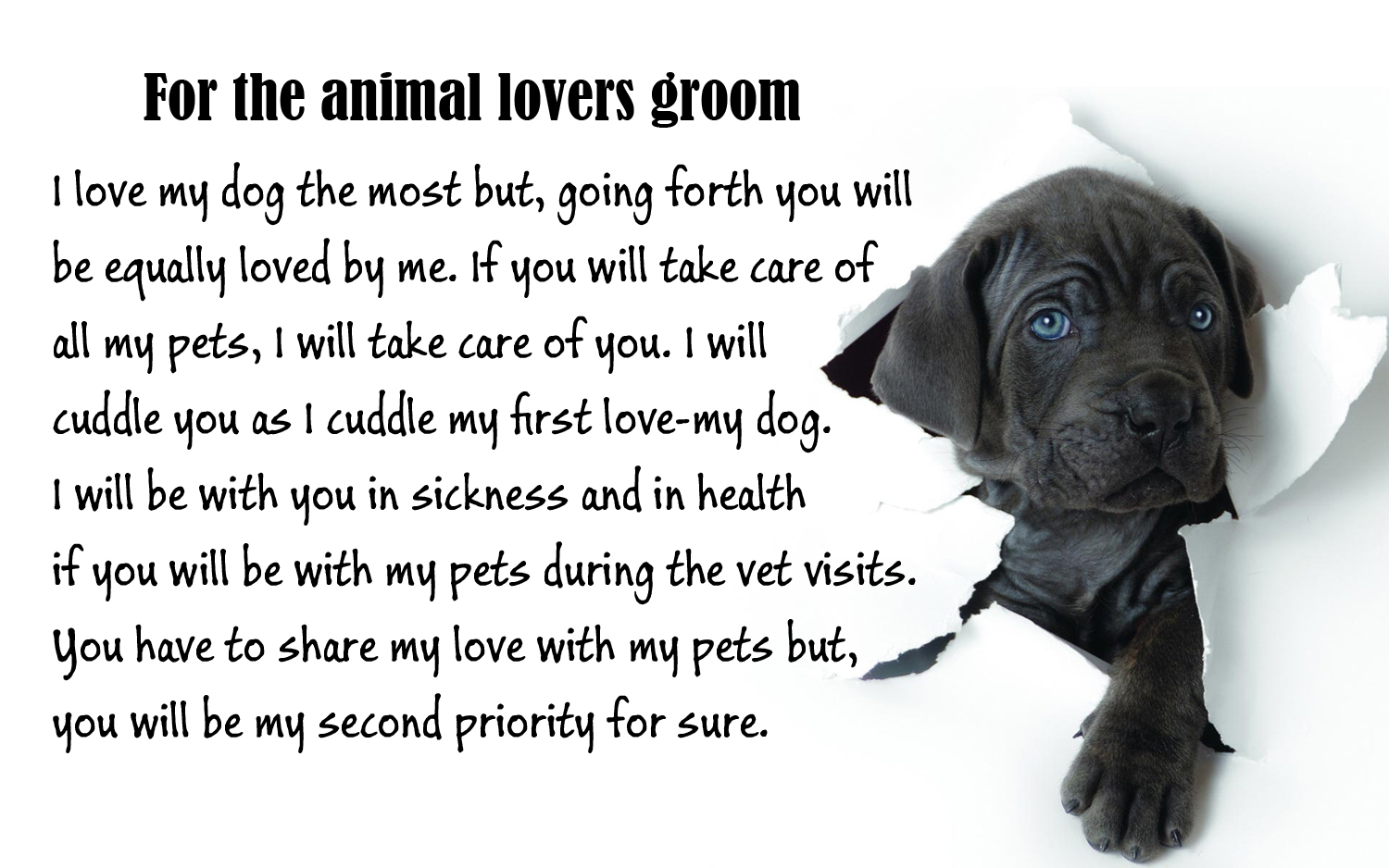 10 Funny Groom Wedding Vows