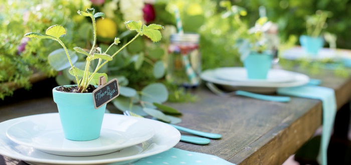 Eco-friendly wedding- IndianWeddingCards