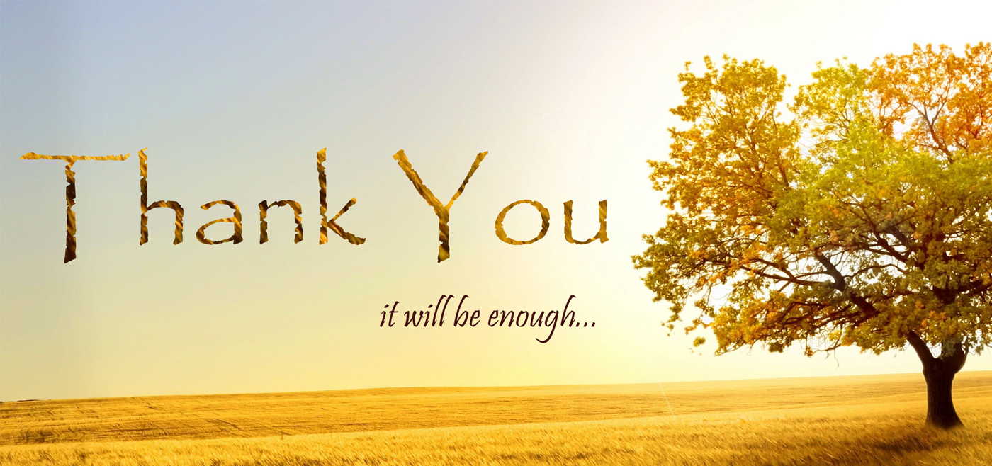 Thank you cards
