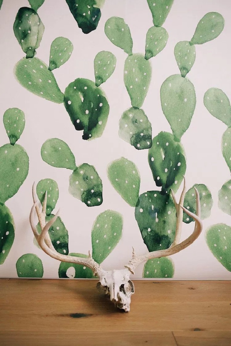 Cactus Backdrop