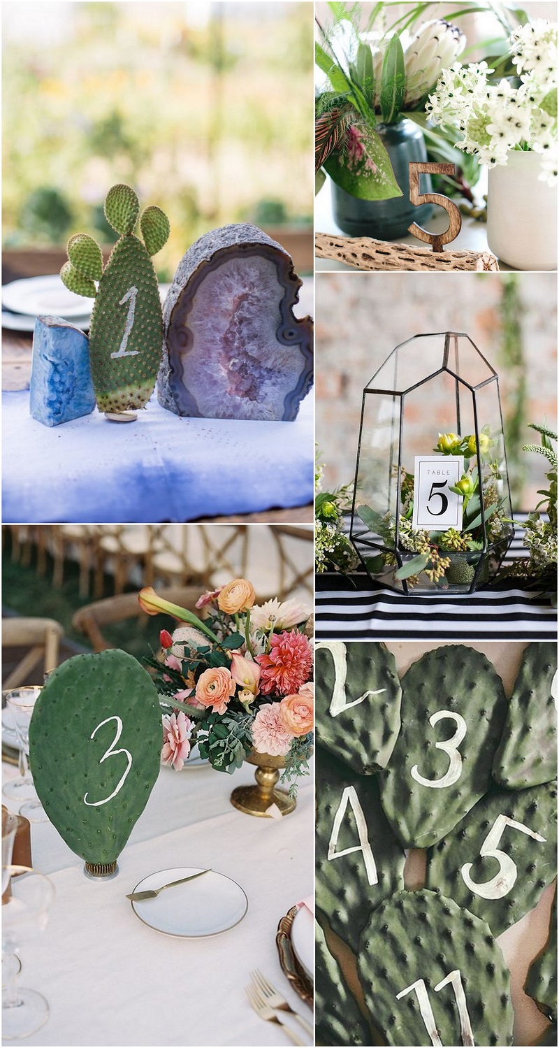 Cactus table number