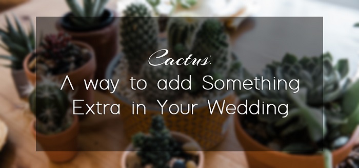 Cactus-themed-wedding