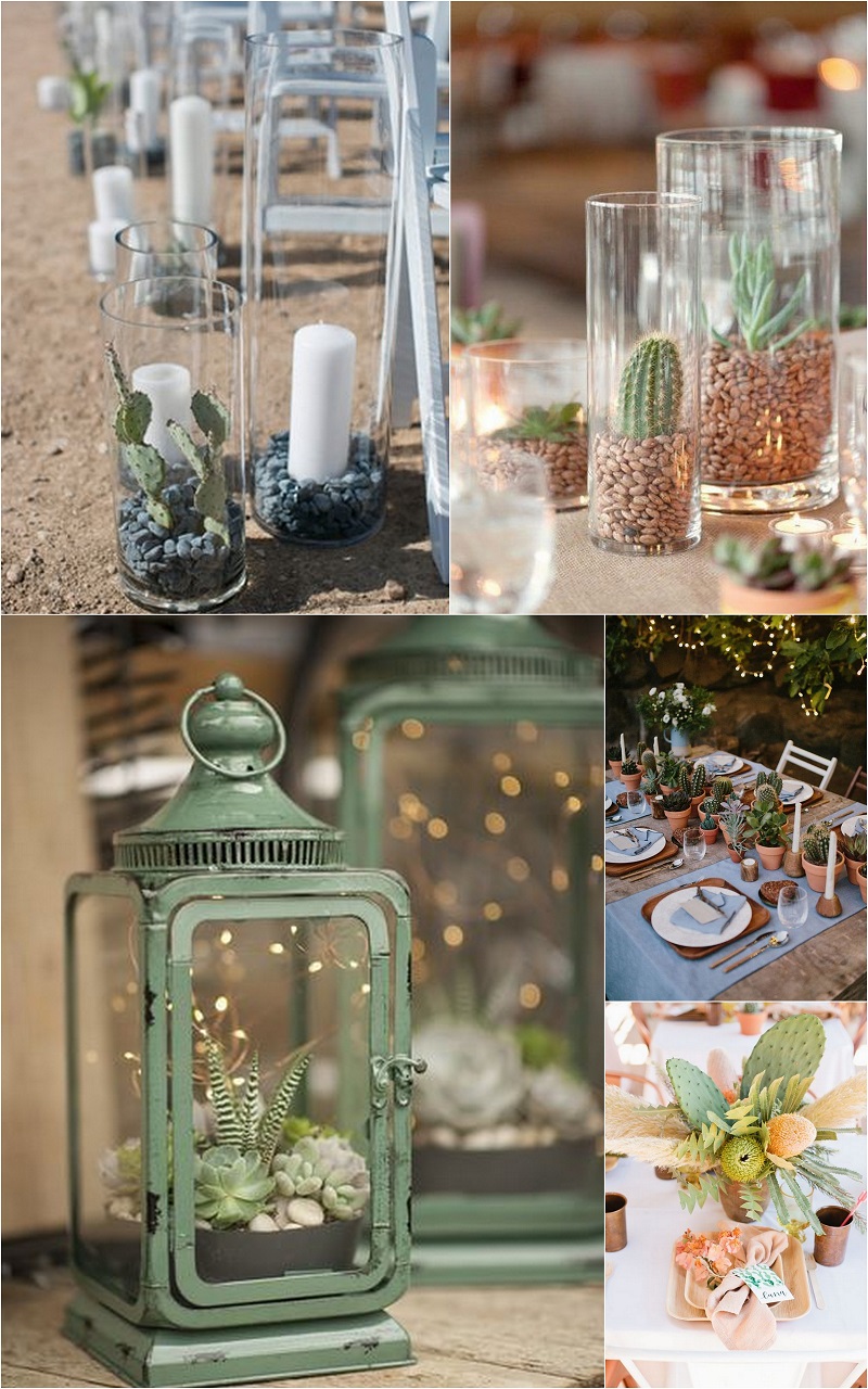 Cactus wedding décor