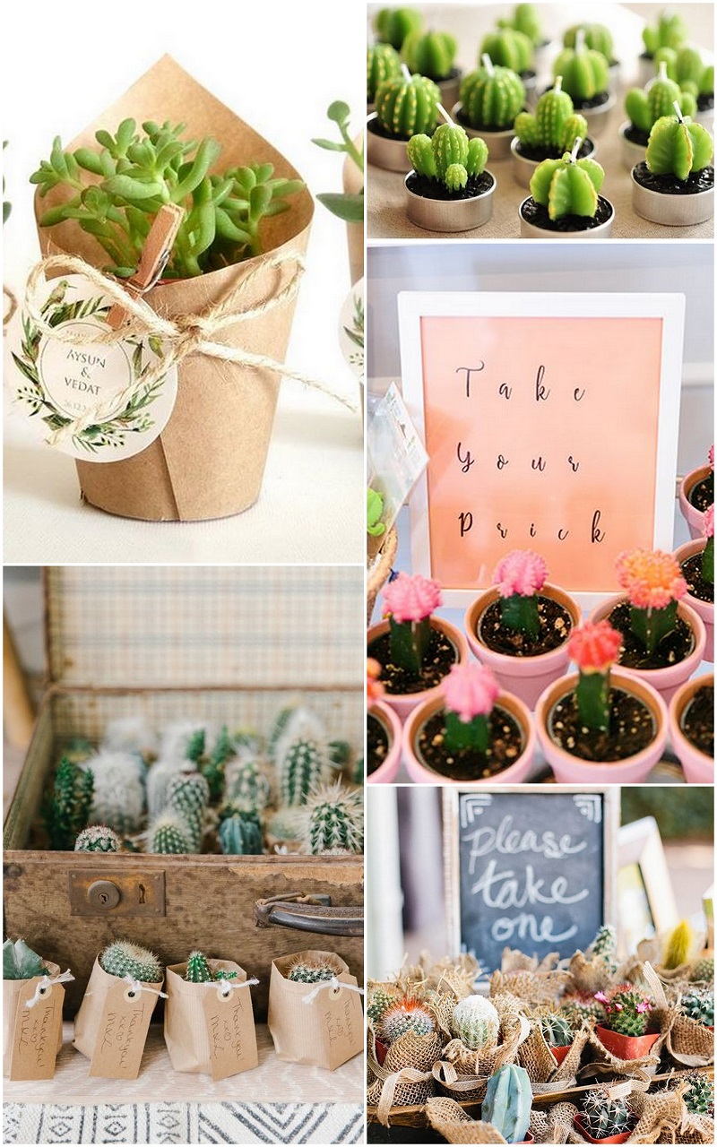 Cactus wedding favors